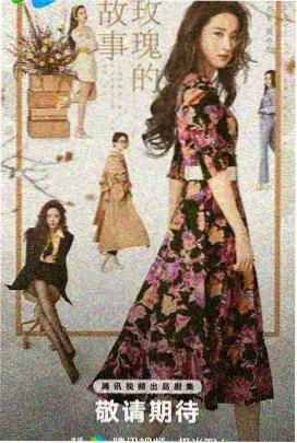 肥胖妇女日剧-美食日记
